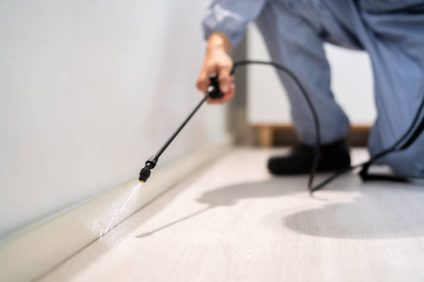 Licensed Pest Control service in Ladera, CA - Nex Pest Control